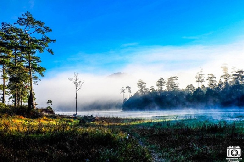 Chiêm ngưỡng vẻ đẹp hồ Tuyền Lâm Đà Lạt 5 wanderlusttips du lich ho tuyen lam da lat 4