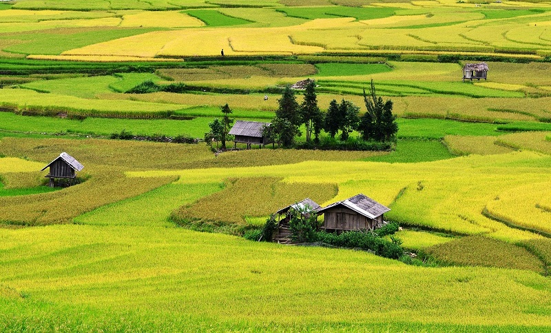 wanderlusttips du lich tay bac