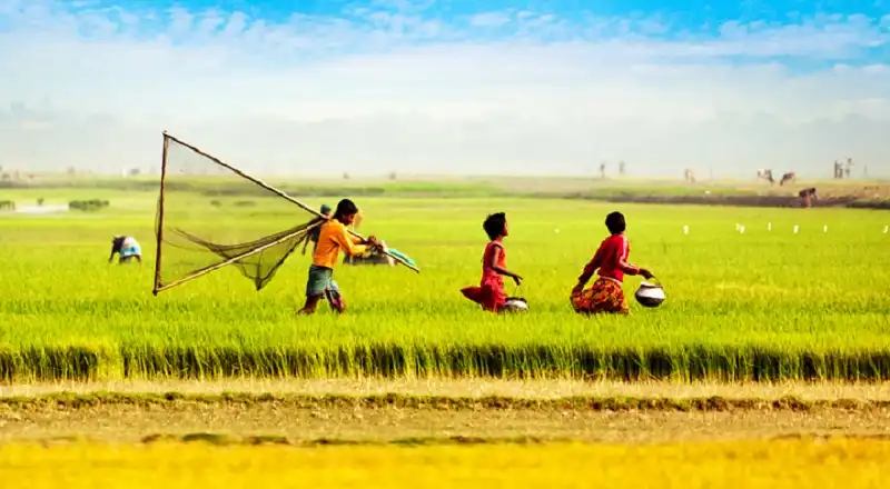 wanderlusttips-kham-pha-kien-truc-doc-dao-o-xu-so-bangladesh-2