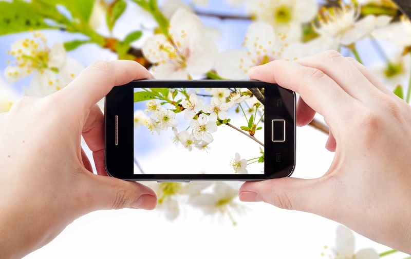 Kinh nghiệm chụp ảnh bằng điện thoại khi đi du lịch