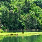 wanderlusttips kinh nghiem du lich bac kan 1