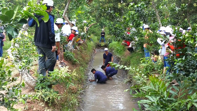 wanderlusttips kinh nghiem du lich tien Giang 1