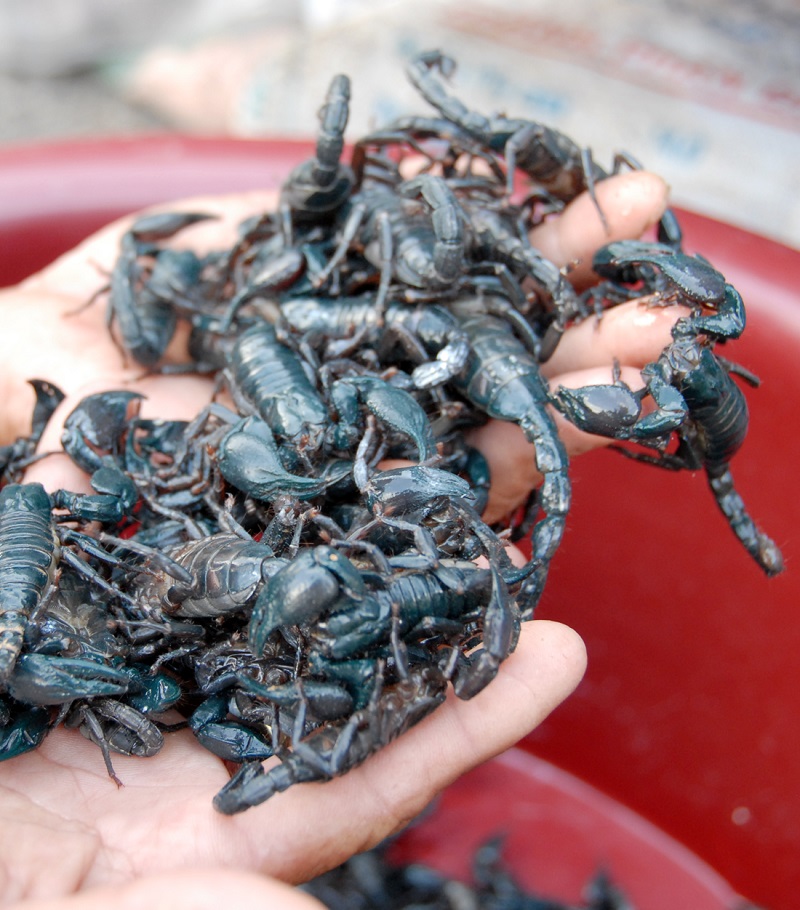 wanderlusttips mon ngon an giang 5