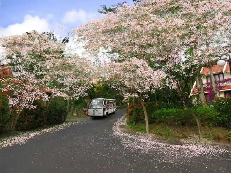 5-diem-den-wanderlusttips4