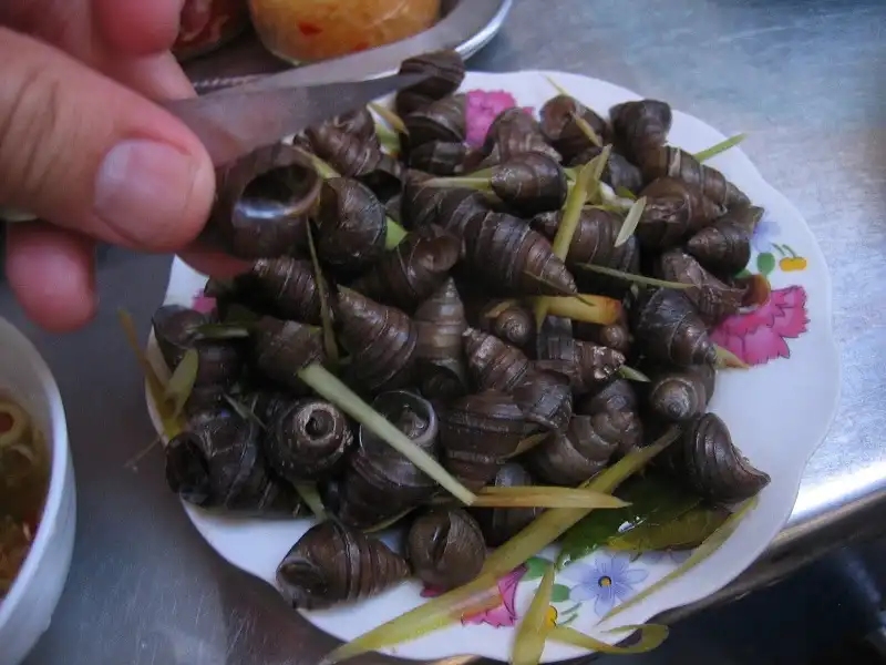 7-trai-nghiem-wanderlusttips6