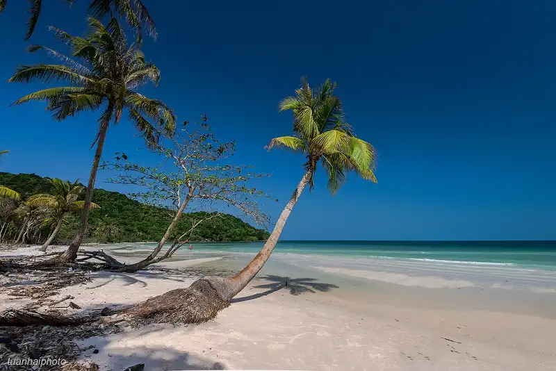 8-diem-du-xuan-wanderlusttips5