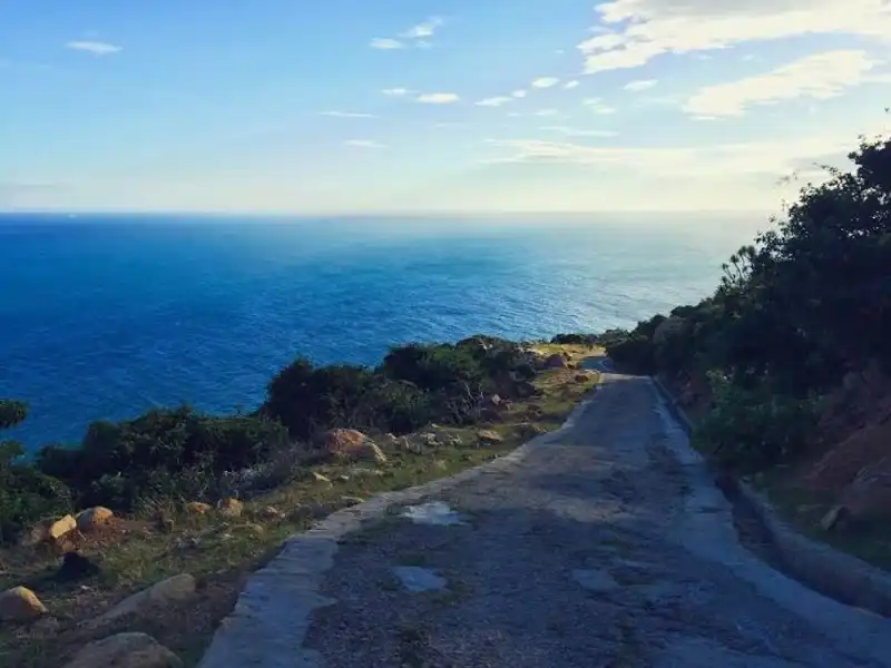 Dau-nam-phuot-cung-duong-ven-bien-mui-dinh-bai-trang-3- wanderlusttips 8