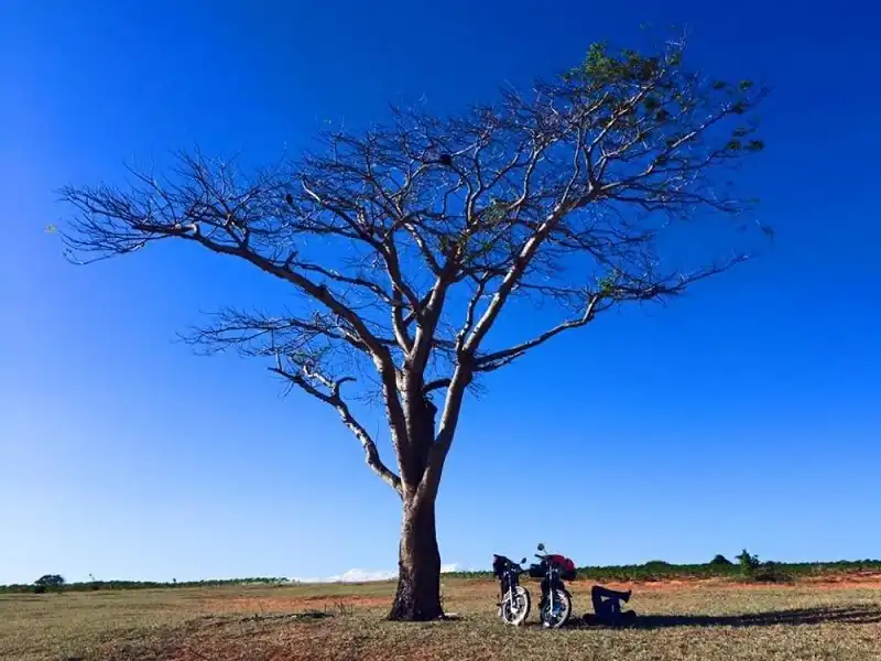 Dau-nam-phuot-cung-duong-ven-bien-mui-dinh-bai-trang-3- wanderlusttips