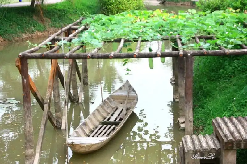 Về Đồng Tháp bình dị ngày giáp Tết 9 dong-thap-wanderlusttips4