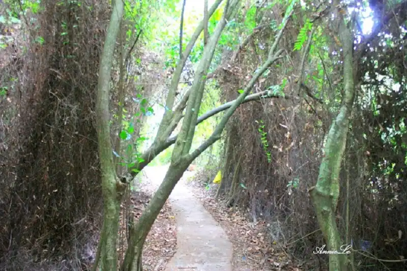 Về Đồng Tháp bình dị ngày giáp Tết 10 dong-thap-wanderlusttips5