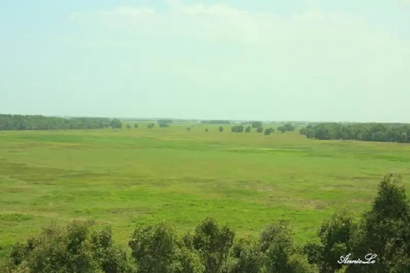 Về Đồng Tháp bình dị ngày giáp Tết 13 dong-thap-wanderlusttips8