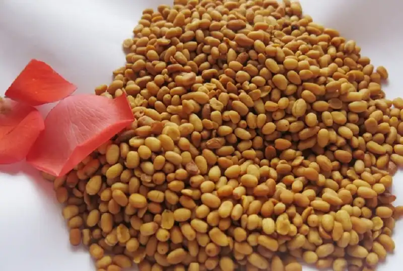 Món ngon từ cây di sản Việt Nam ở Cù Lao Chàm 6 Hạt ngô đồng