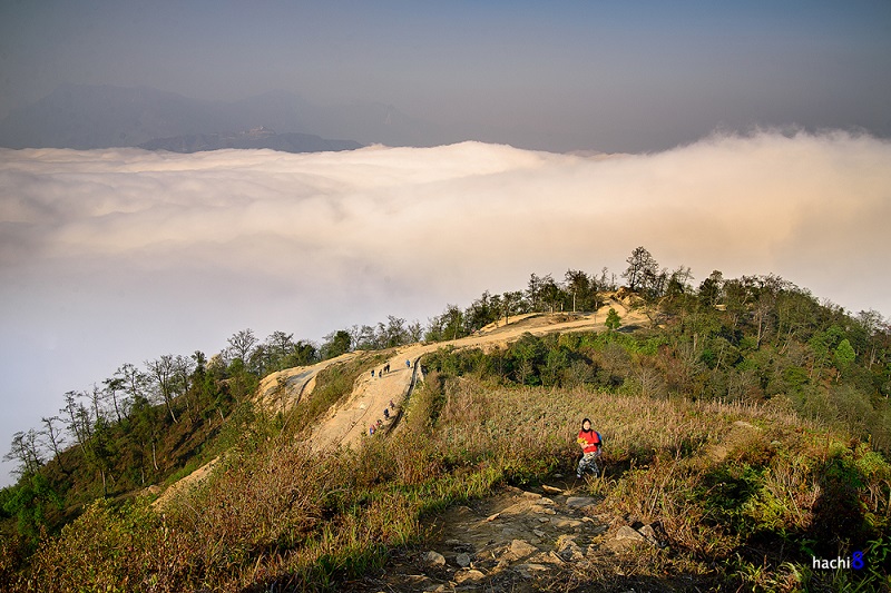Mùa xuân trên cung Ngải Thầu