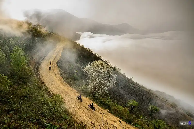 ngai-thau-wanderlusttips3