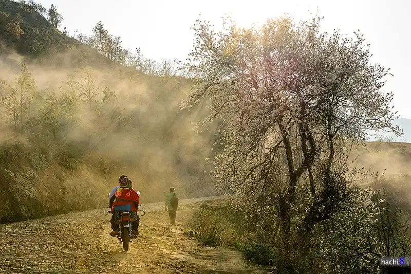 ngai-thau-wanderlusttips4