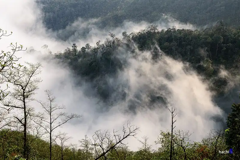 ngai-thau-wanderlusttips7