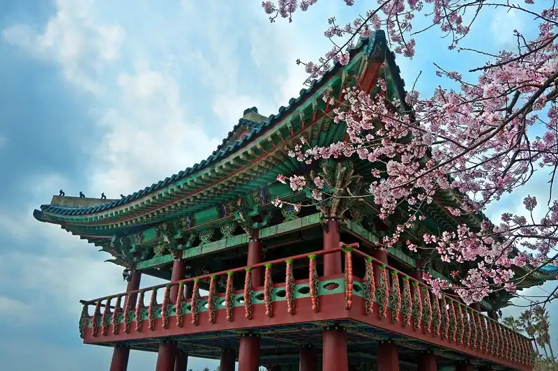 Ghé thăm những xứ sở anh đào trong mùa xuân 8 nhung-coi-ru-tinh2