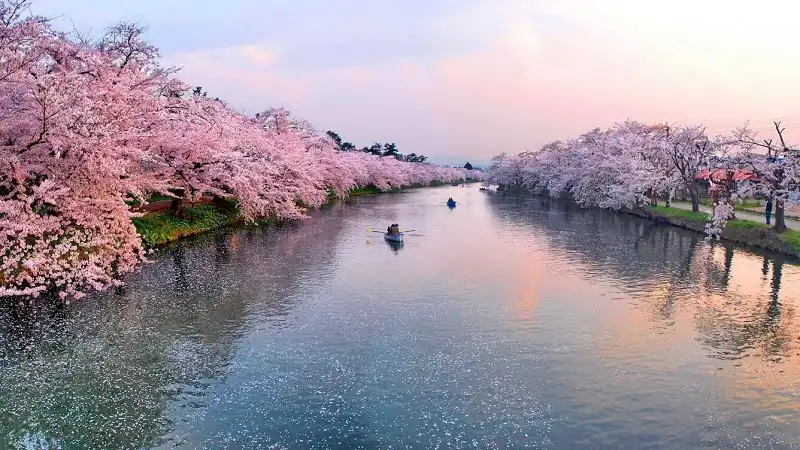 Ghé thăm những xứ sở anh đào trong mùa xuân 7 nhung-coi-ru-tinh4