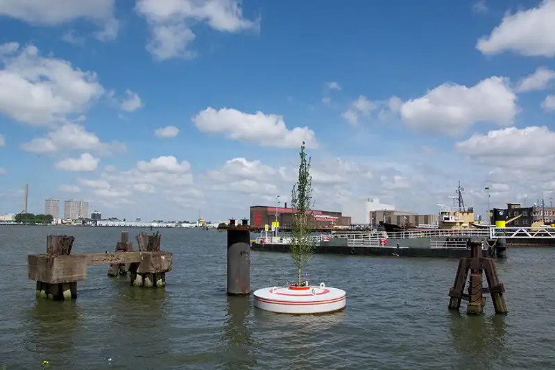 Độc đáo rừng nổi nhân tạo ở Rotterdam 7 rung-noi-1-wanderlusttips2