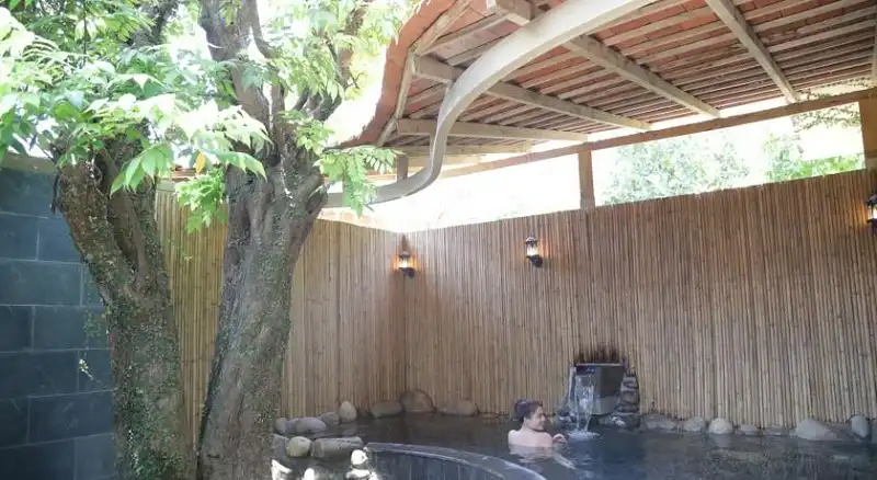 the-blossom-wanderlusttips2