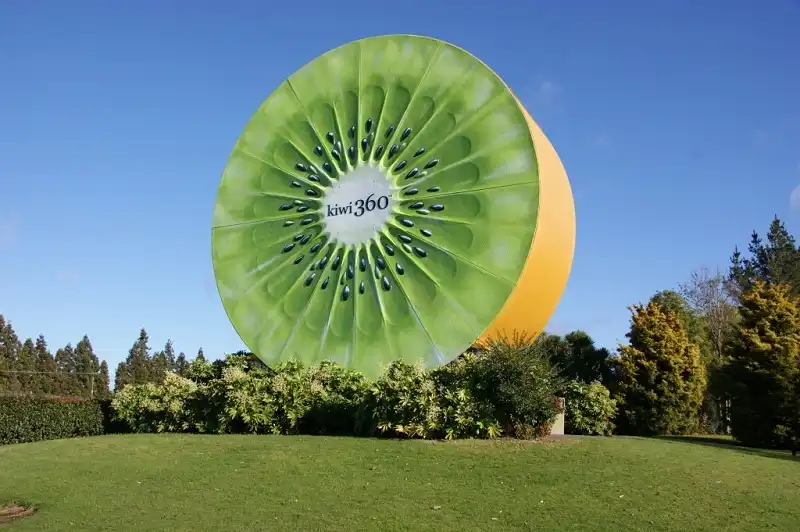 Những điểm đến ngọt ngào mùa hoa trái 6 uc-chau-ngot-ngao-mua-hoa1