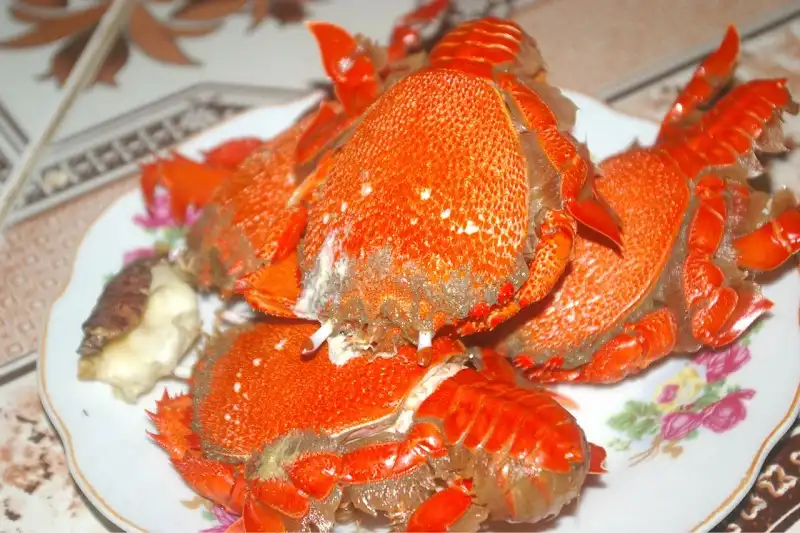 10 món ngon nổi tiếng đất võ Bình Định 10 wanderlusttips-10-mon-ngon-binh-dinh-5