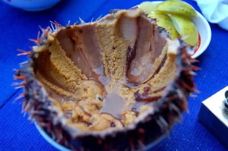 6 món ăn đặc sản chỉ dành cho người bụng tốt 9 wanderlusttips-6-mon-chi-danh-cho-nguoi-bung-tot-4