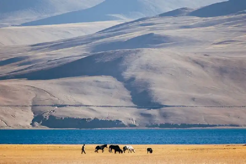 Ấn tượng ảnh triển lãm của cô gái Việt trên tạp chí quốc tế 8 wanderlusttips-an-tuong-anh-trien-lam-co-gai-viet-tren-tap-chi-quoc-te-3