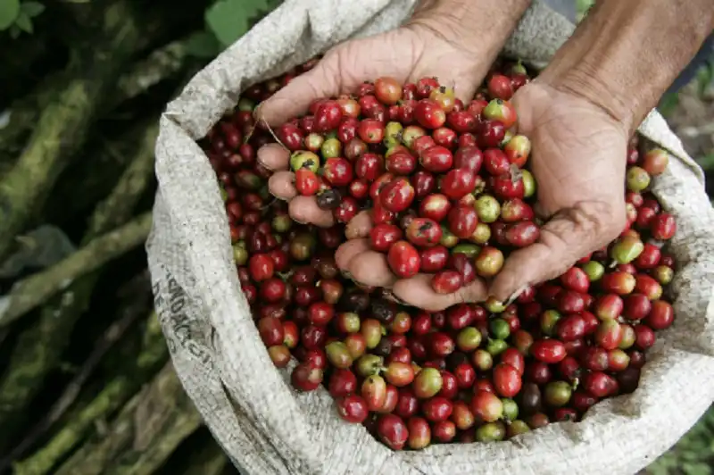 Colombia - Quốc gia hạnh phúc nhất thế giới 6 wanderlusttips-colombia-dat-nuoc-dang-song-1