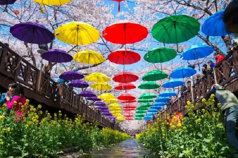 wanderlusttips-con-duong-hoa-anh-dao-tren-the-gioi-2