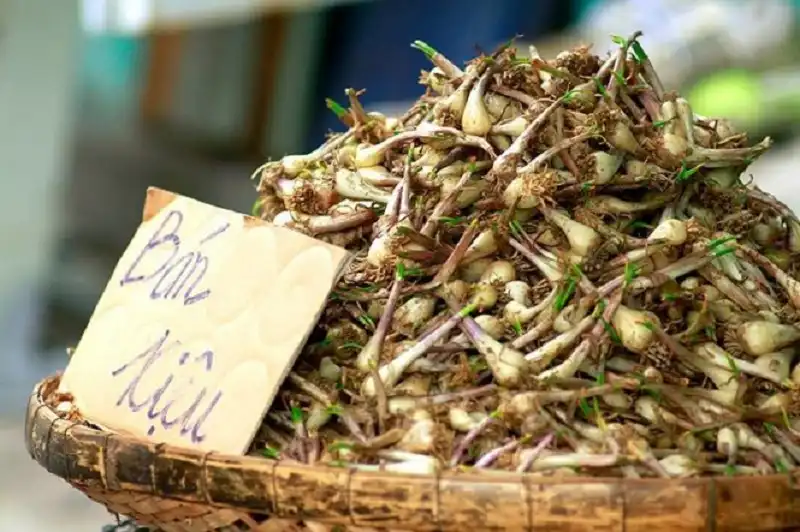 Mùa kiệu Tết 5 wanderlusttips-cu-kieu-ngay-tet-4