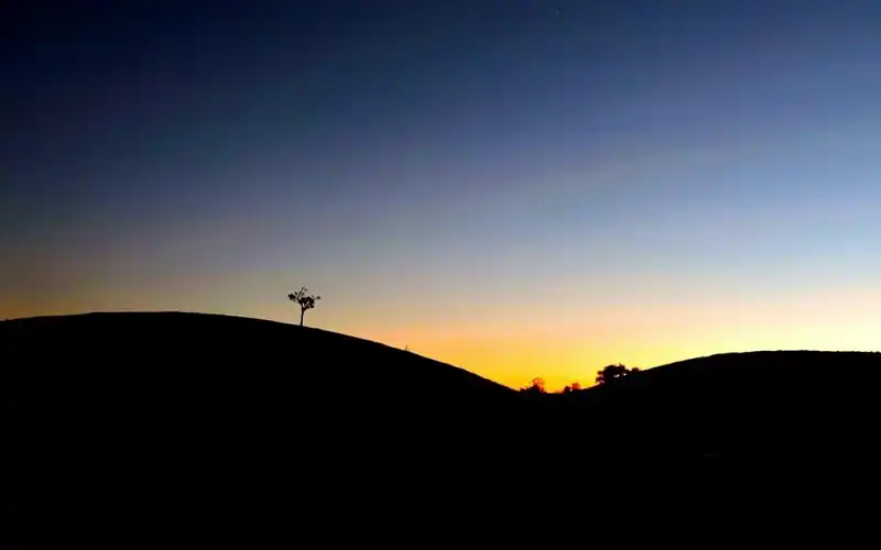 wanderlusttips-doi-cay-ta-nag-lam-dong-1