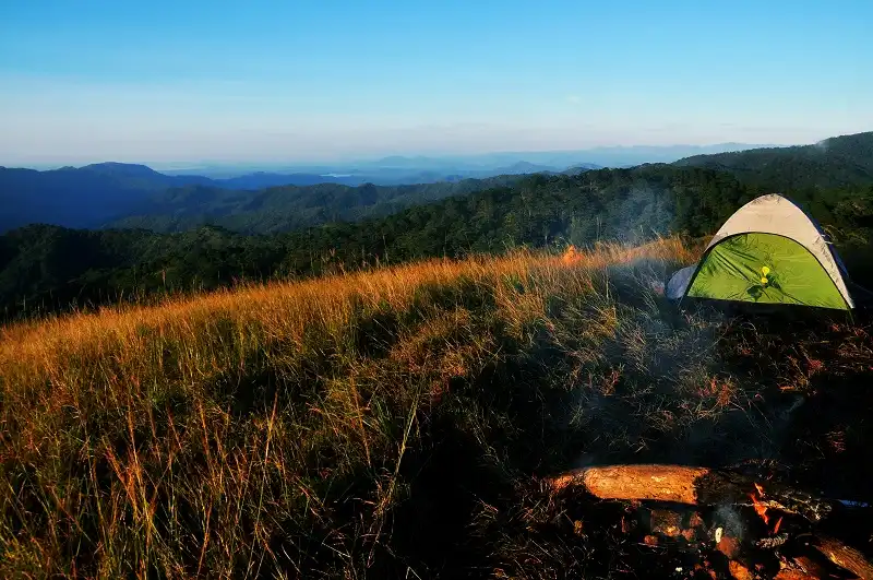 wanderlusttips-doi-cay-ta-nag-lam-dong-4