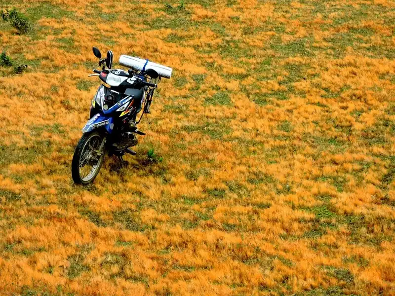 wanderlusttips-doi-cay-ta-nag-lam-dong-5