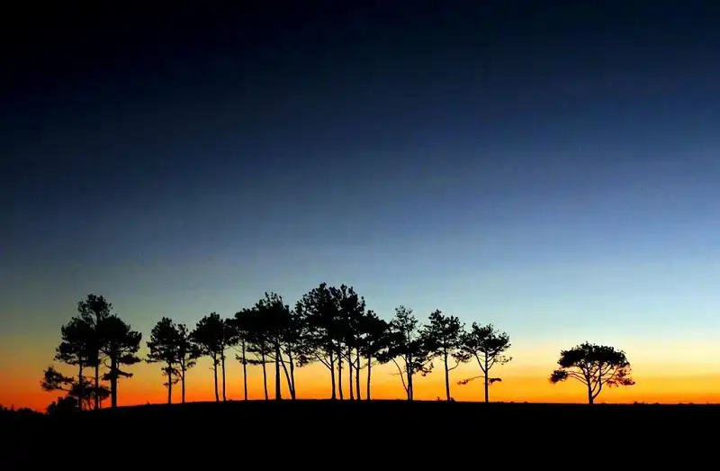 wanderlusttips-doi-cay-ta-nag-lam-dong