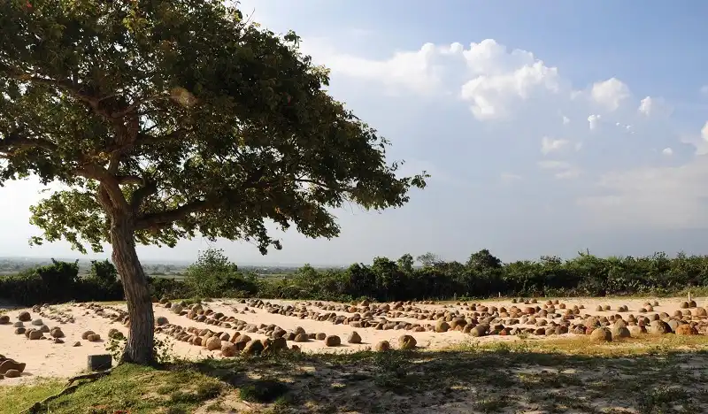 Kinh nghiệm du lịch Tết 9 ngày qua 5 tỉnh thành 8 wanderlusttips-kinh-nghiem-du-lich-9-ngay