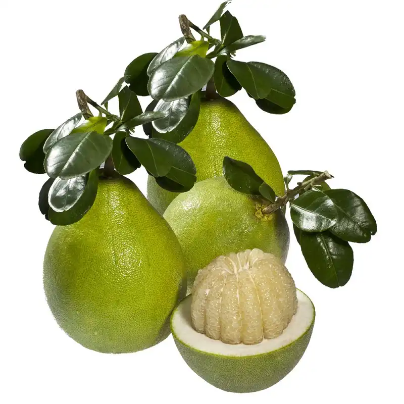 10 món ngon Đồng Nai "mê hoặc" du khách 6 wanderlusttips-mon-ngon-dong-nai