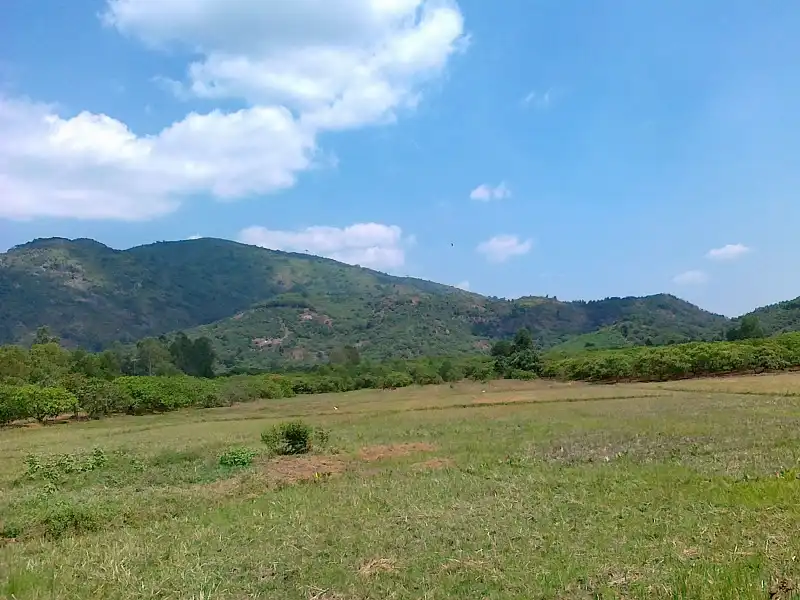 wanderlusttips-nhung-diem-du-lich-gan-sai-gon-1