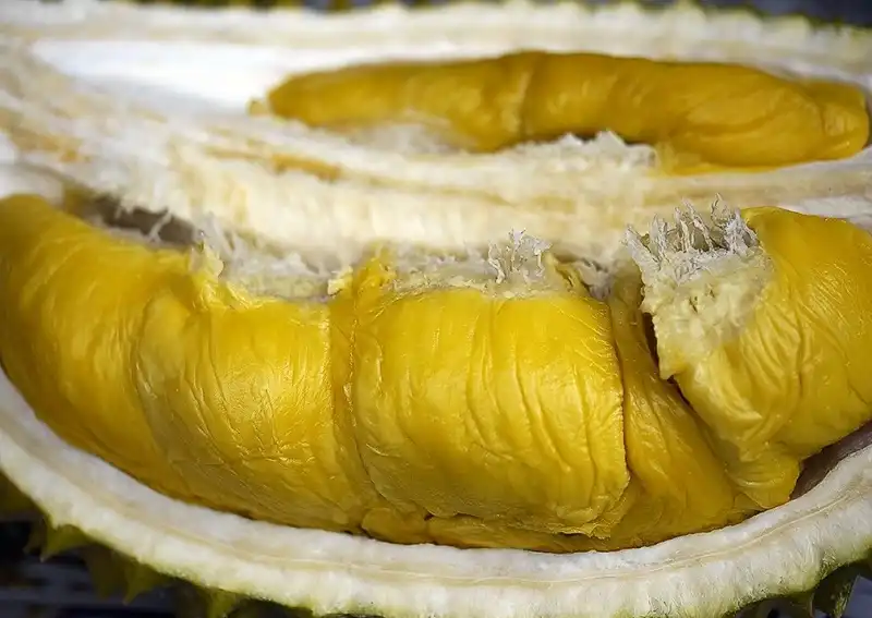 "Danh sách đen" những vật bị cấm xách tay khi lên máy bay 7 wanderlusttips-nhung-do-vat-khong-duoc-mang-len-may-bay-1