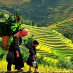 wanderlusttips trekking viet nam