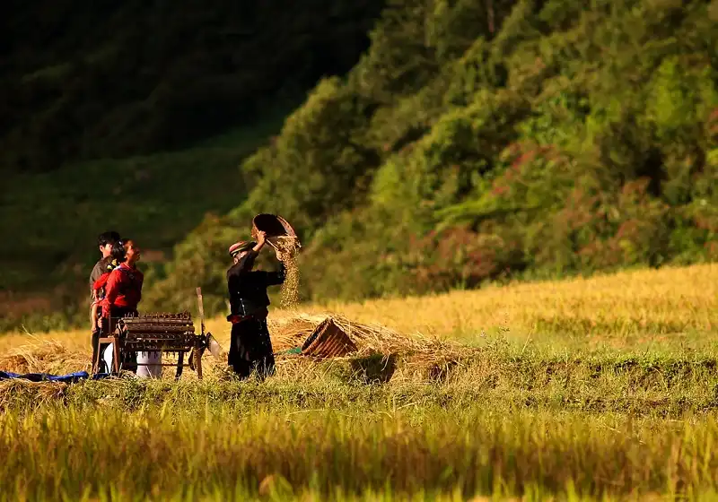 wanderlusttips-y-ty-lo-top-12-diem-du-lich-dong-nam-a