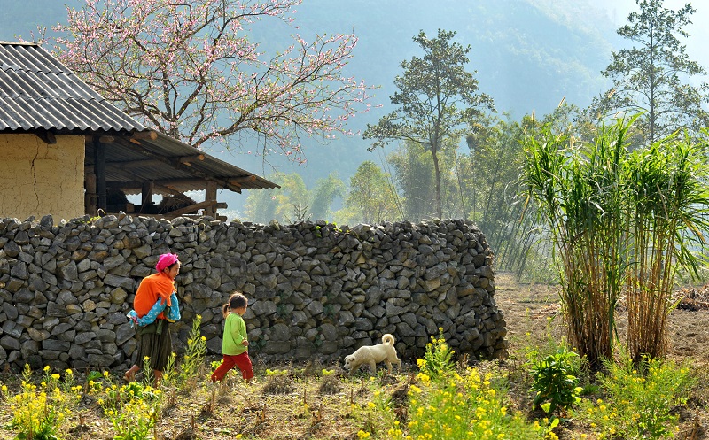 6 điểm miền núi phía Bắc nên đến trong dịp Tết Nguyên đán 6 điểm miền núi phía Bắc nên đến trong dịp Tết Nguyên đán