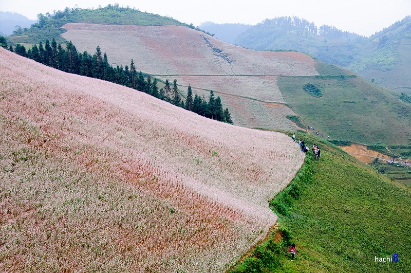 9 điểm đẹp và lạ nên đến trong năm 2016