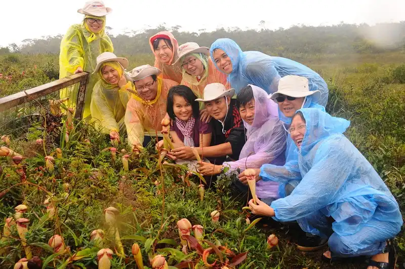 Huyền ảo sương khói Thansur Bokor 8 Thansur-Bokor-wanderlusttips4