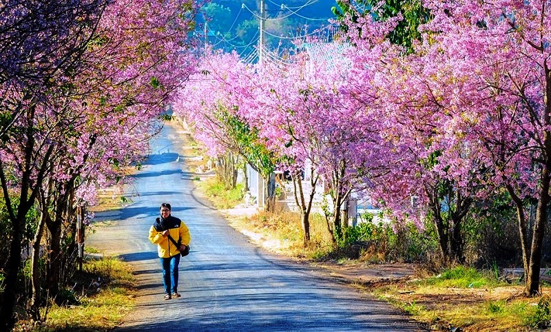 du lich da lat ivivu.com 8