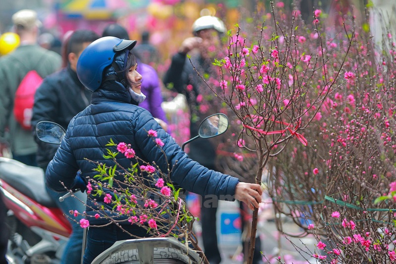 wanderlusttips 6 cho hoa tet noi tieng ha thanh
