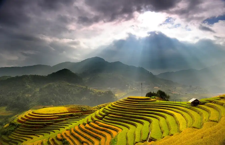 5 địa điểm đẹp như tranh vẽ ở Việt Nam 5 wanderlusttips-cao-nguyen-da-dong-van