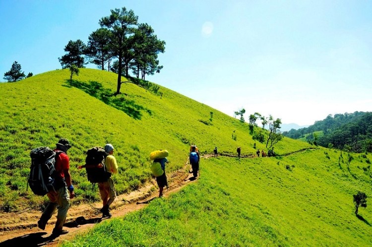 Kinh nghiệm trekking Tà Năng, Lâm Đồng 5 wanderlusttips kinh nghiem trekking ta nang