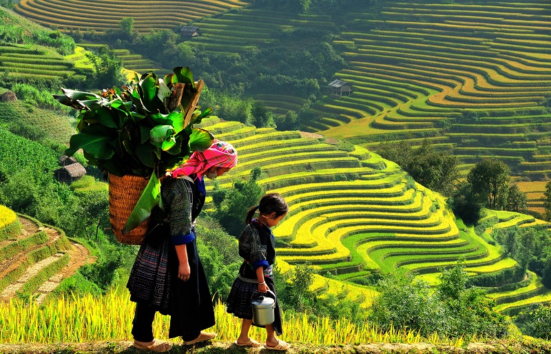wanderlusttips trekking viet nam