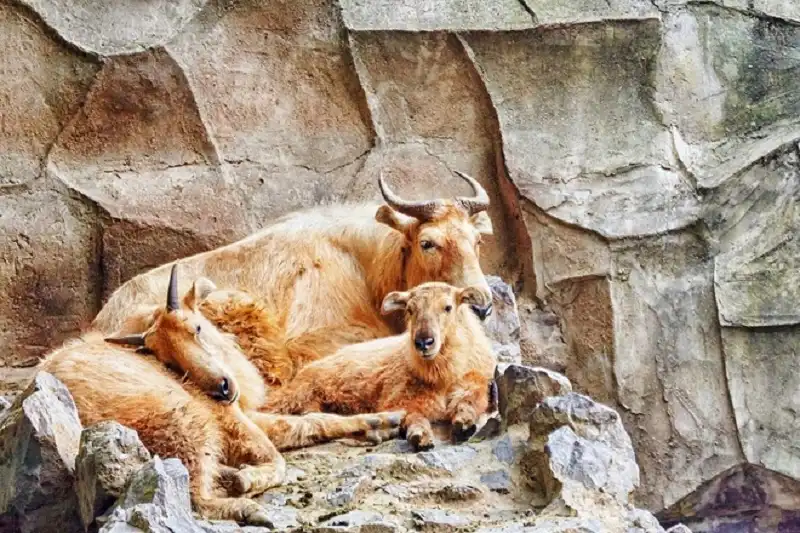 Bhutan, điểm nên đến năm 2016 10 10-ly-do-khien-ban-phai-den-bhutan-wanderlusttips5